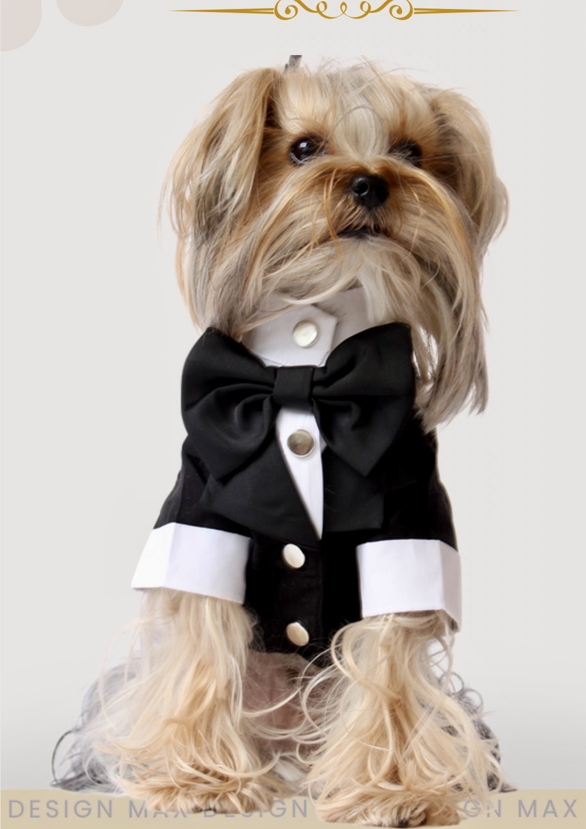 SMOKİN ELBİSE SİYAH